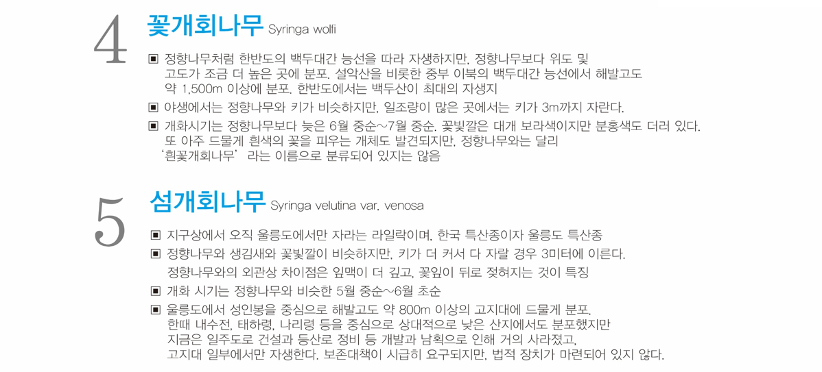 나무8.png