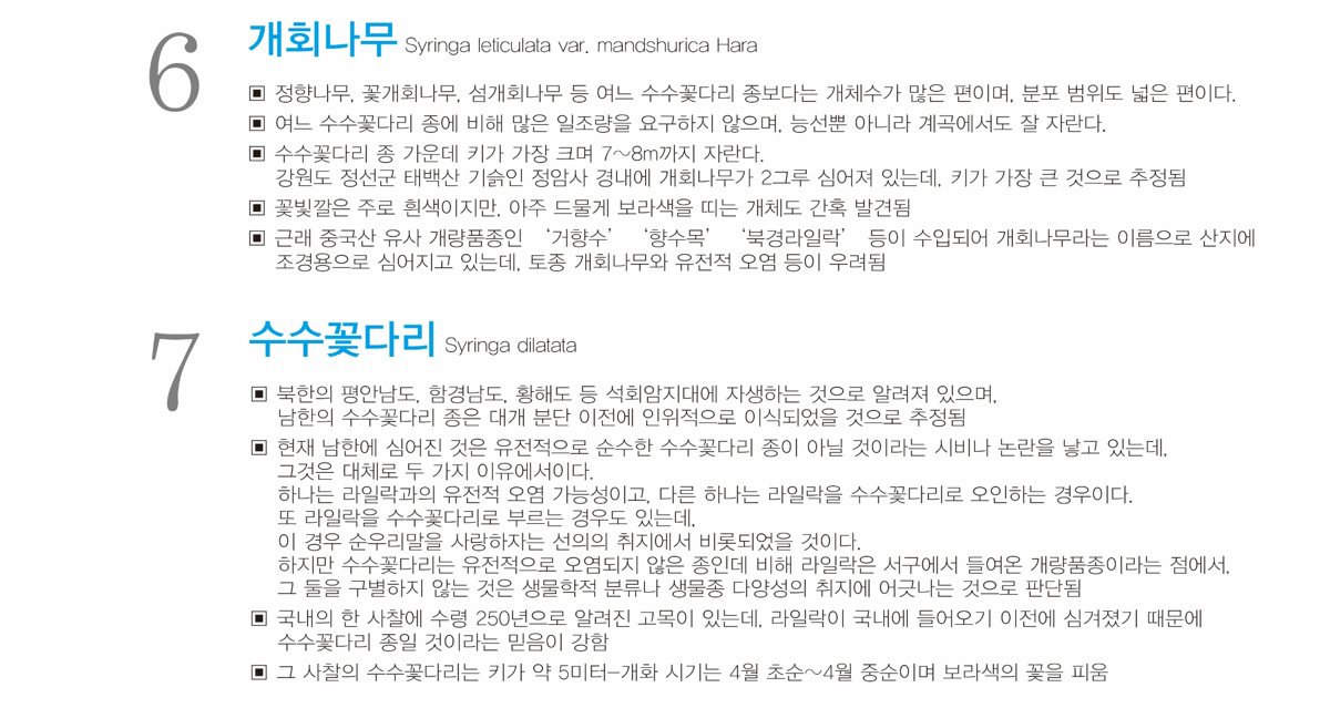 나무9.png