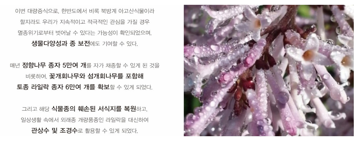 나4.png